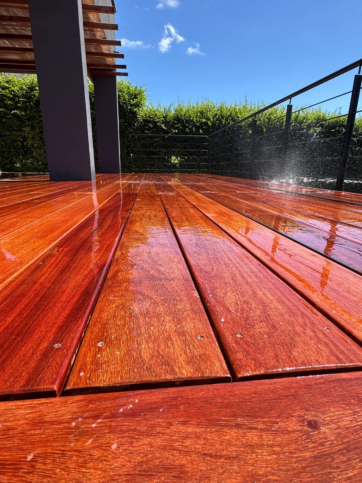 Vue en perspective d'une terrasse en bois massif rougeâtre avec rambarde métallique noire, pergola en bois et acier, jardin vert en arrière-plan, ciel bleu ensoleillé.